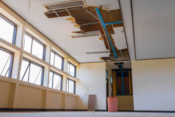 Best 24-hour water damage restoration  in Norfolk, VA