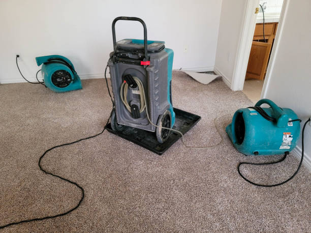 Best Carpet water damage restoration  in Norfolk, VA