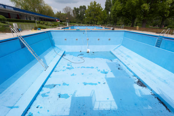 Best Flood damage cleanup  in Norfolk, VA