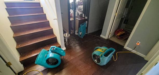 Best Mold removal after water damage  in Norfolk, VA