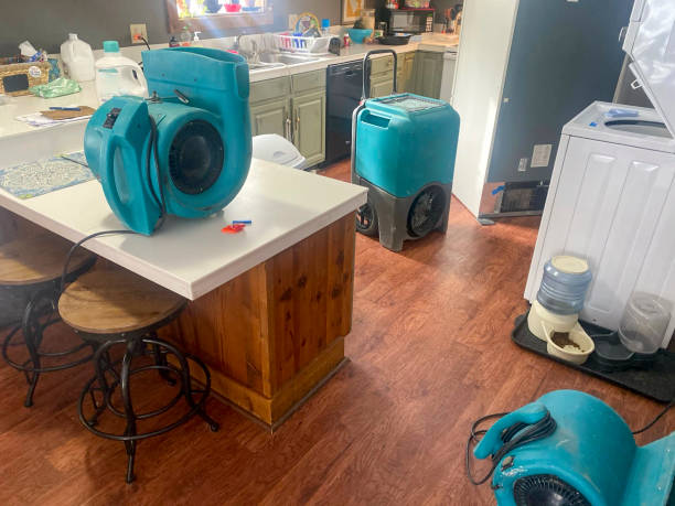 Best Water damage restoration near me  in Norfolk, VA