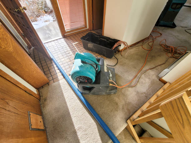 Best Residential water damage restoration  in Norfolk, VA