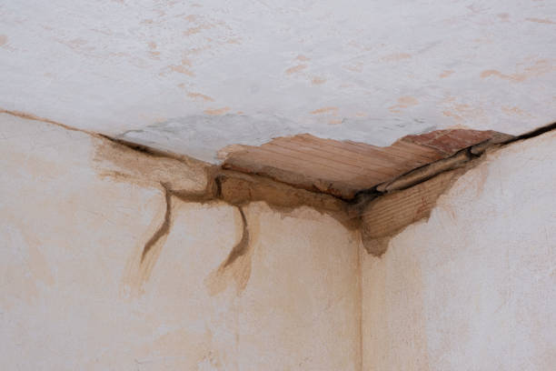 Best Local water damage restoration  in Norfolk, VA