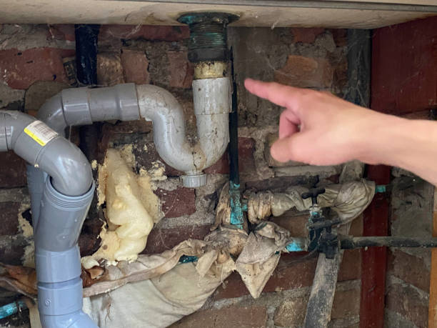 Best Carpet water damage restoration  in Norfolk, VA