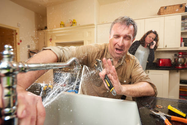 Best Water damage cleanup near me  in Norfolk, VA